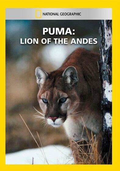 Front. Puma: Lion of the Andes - DVD.