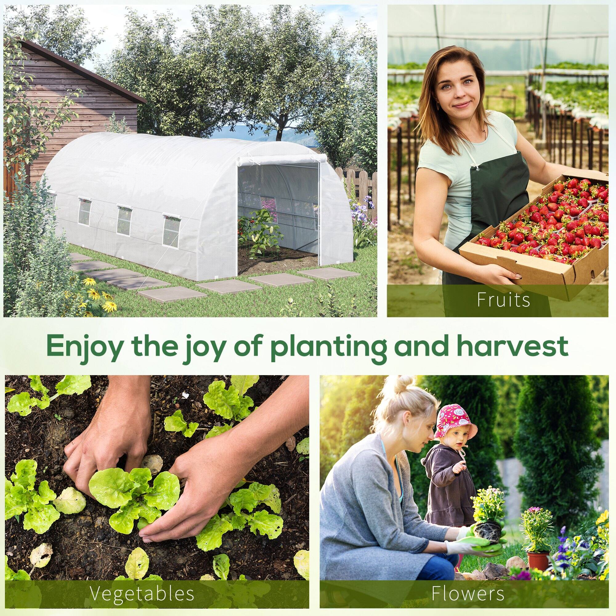 Fruits  
Enjoy the joy of planting and harvest  
Vegetables  
Flowers