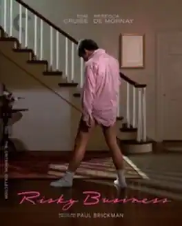 Risky Business (Criterion Collection) - BLU-RAY