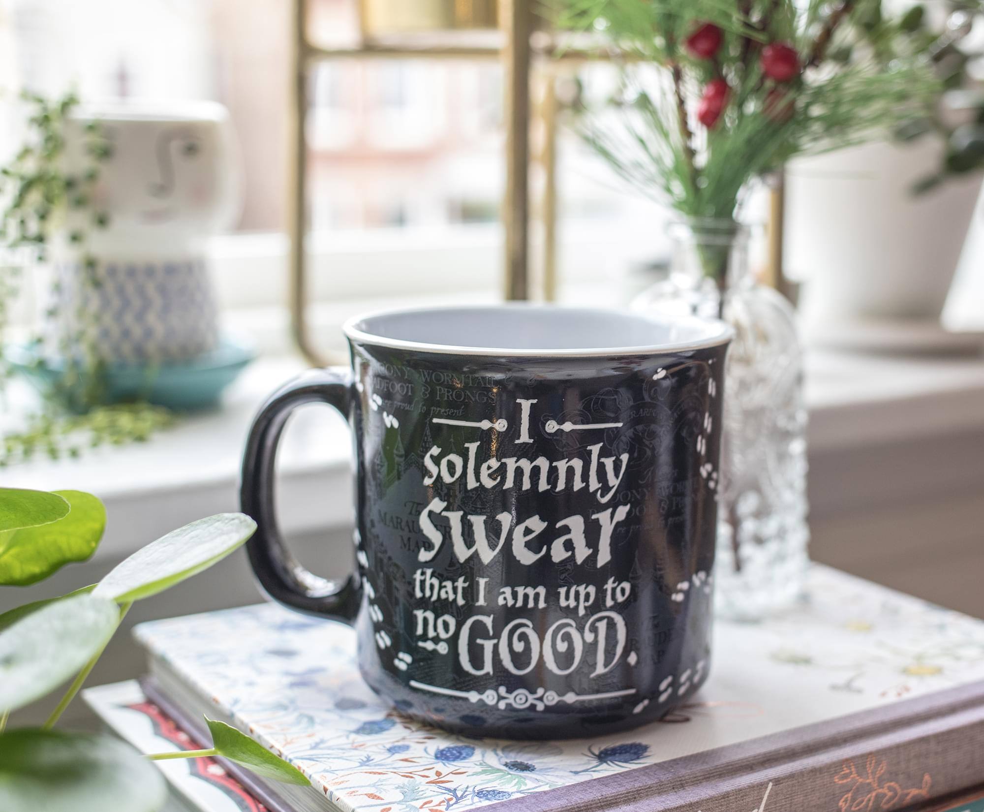 I solemnly swear that I am up to no good.