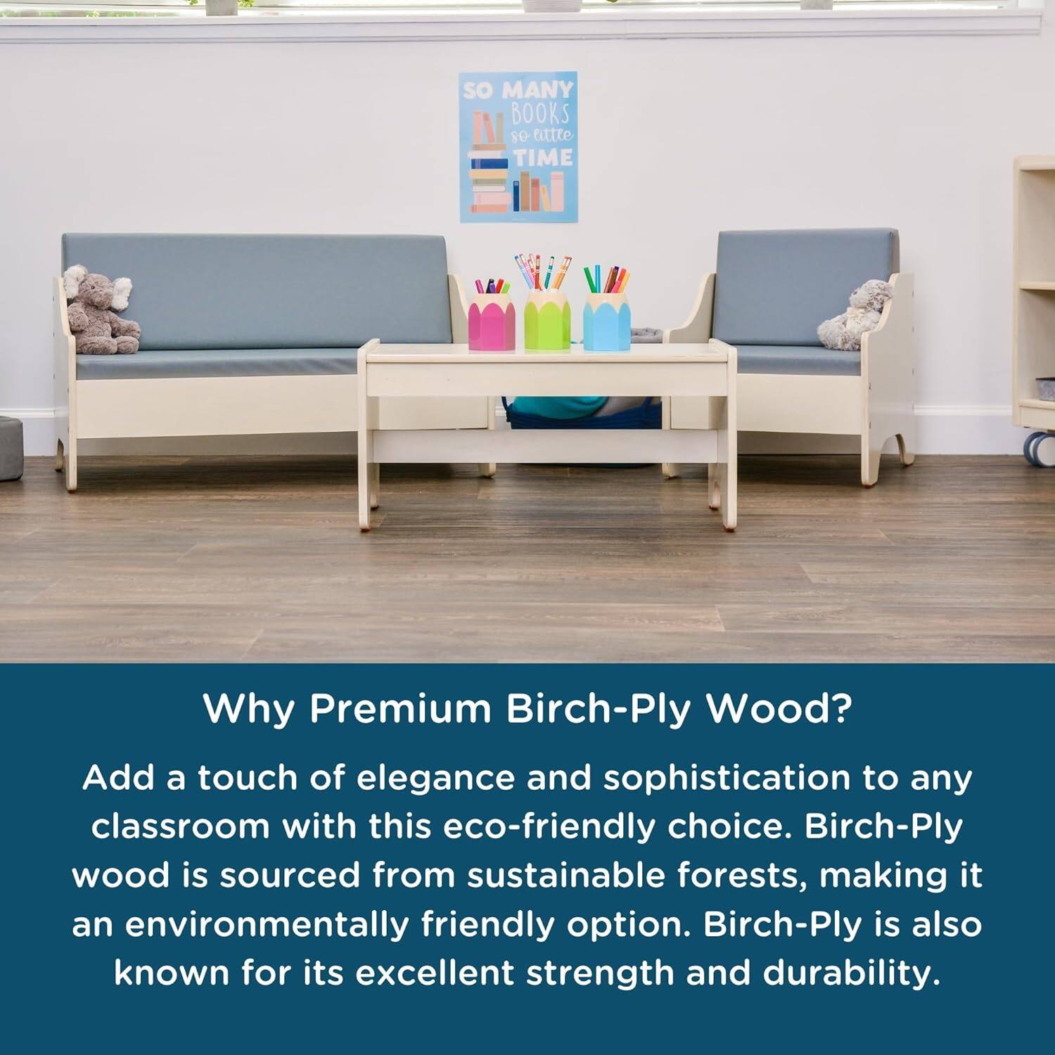 So many books - so little time

Why Premium Birch-Ply Wood?

Add a touch of elegance and sophistication to any classroom with this eco-friendly choice. Birch-Ply wood is sourced from sustainable forests, making it an environmentally friendly option. Birch-Ply is also known for its excellent strength and durability.