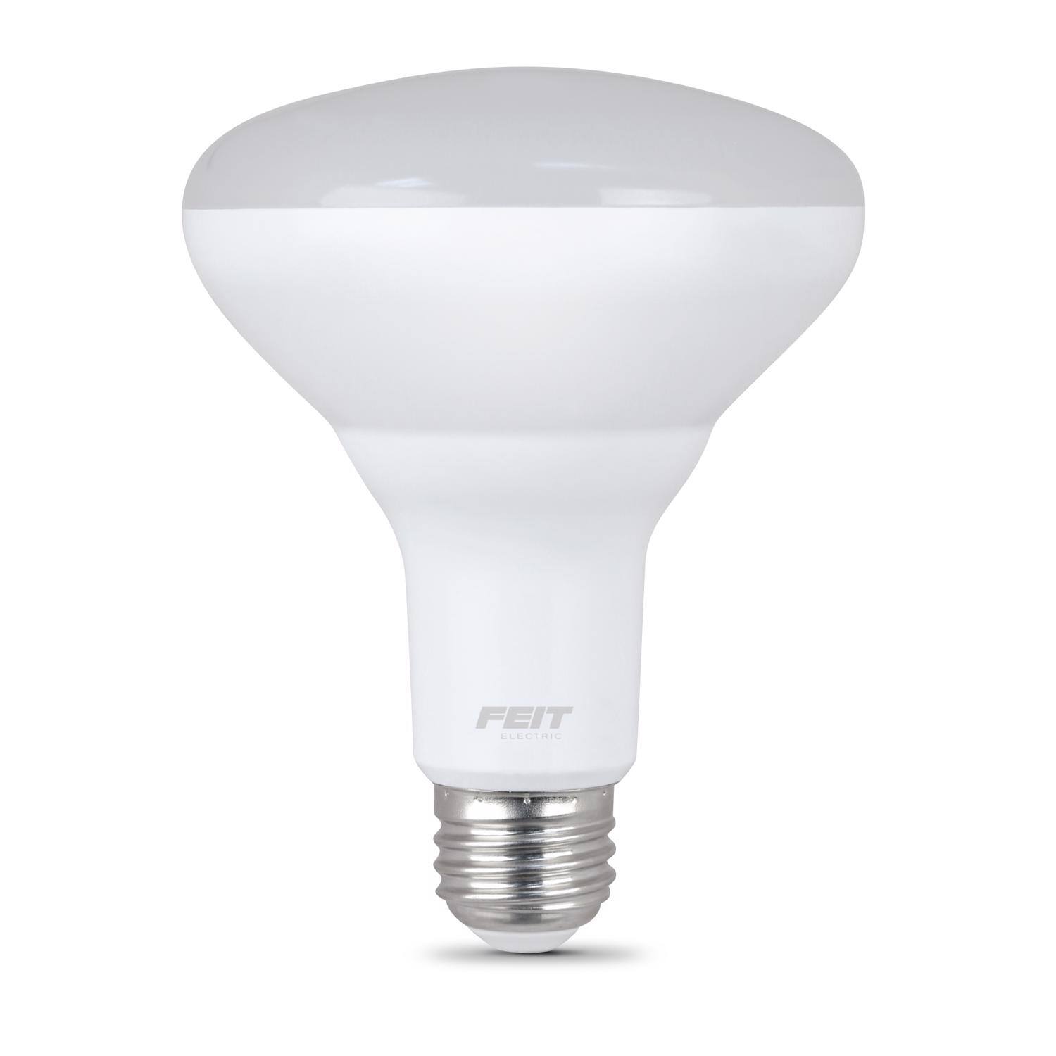 FEIT ELECTRIC