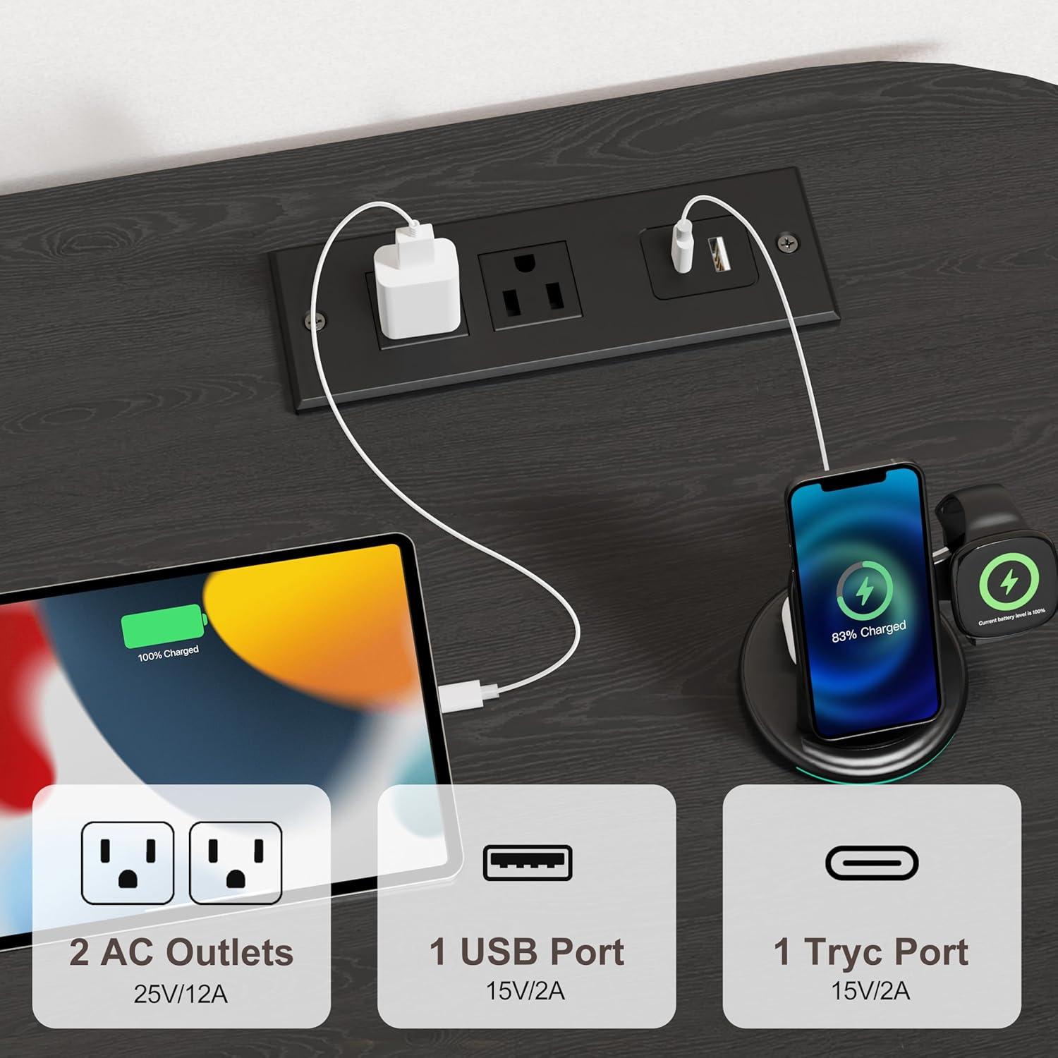 100% Charged  
83% Charged  

2 AC Outlets  
25V/12A  

1 USB Port  
15V/2A  

1 Tryc Port  
15V/2A