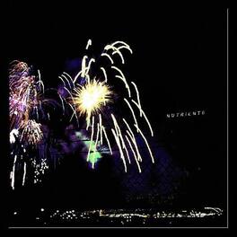 Nutrients - Different Bridges - VINYL LP