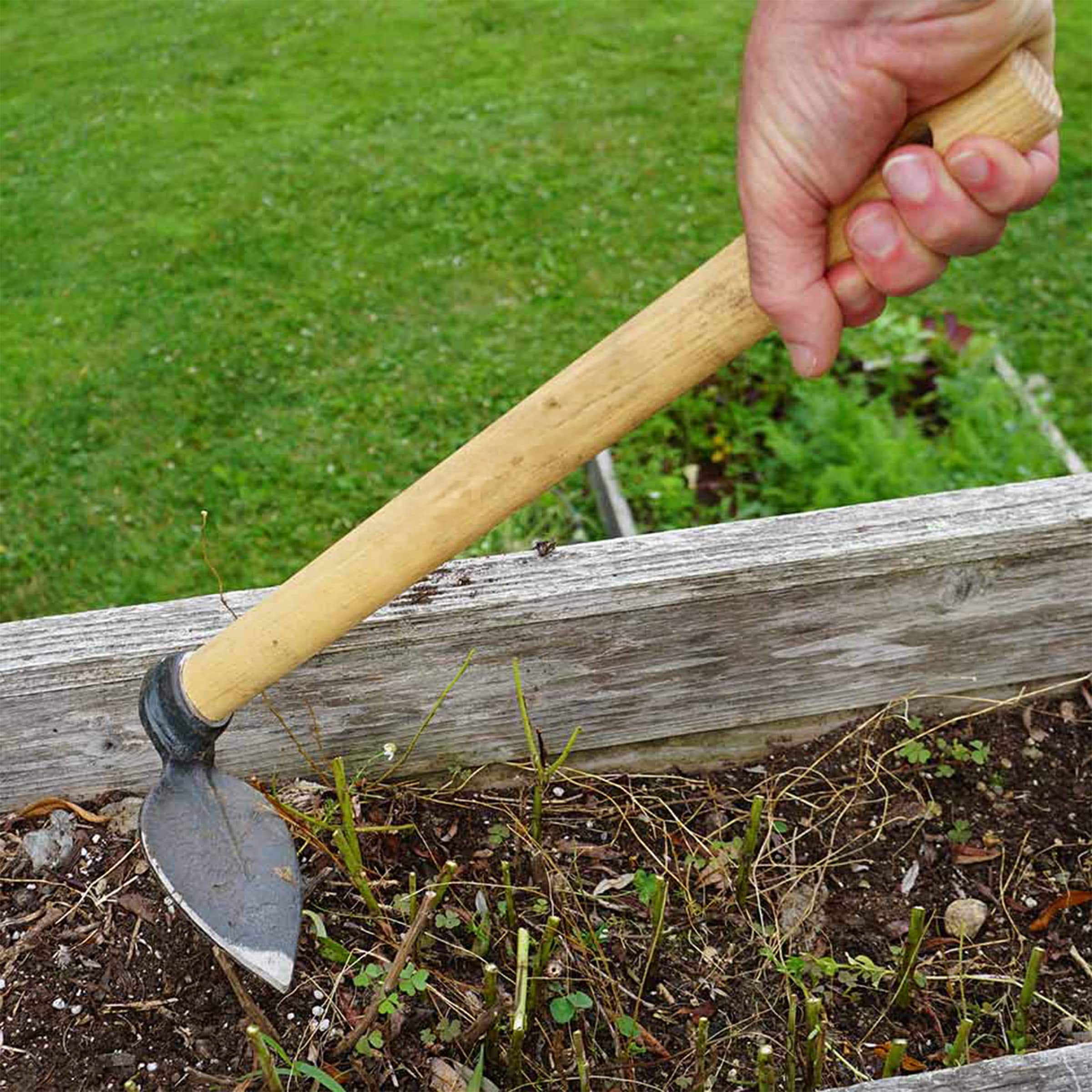 Kings County Tools - Hoe Garden Tool 16.5” Leaf-Shaped Steel Garden Hoe with European Ash Wood Handle