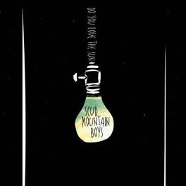 Scud Mountain Boys - Do You Love the Sun - VINYL LP