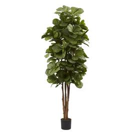 BreeBe - 6' Fiddle Leaf Fig Tree x 6 w/270 Lvs - Green