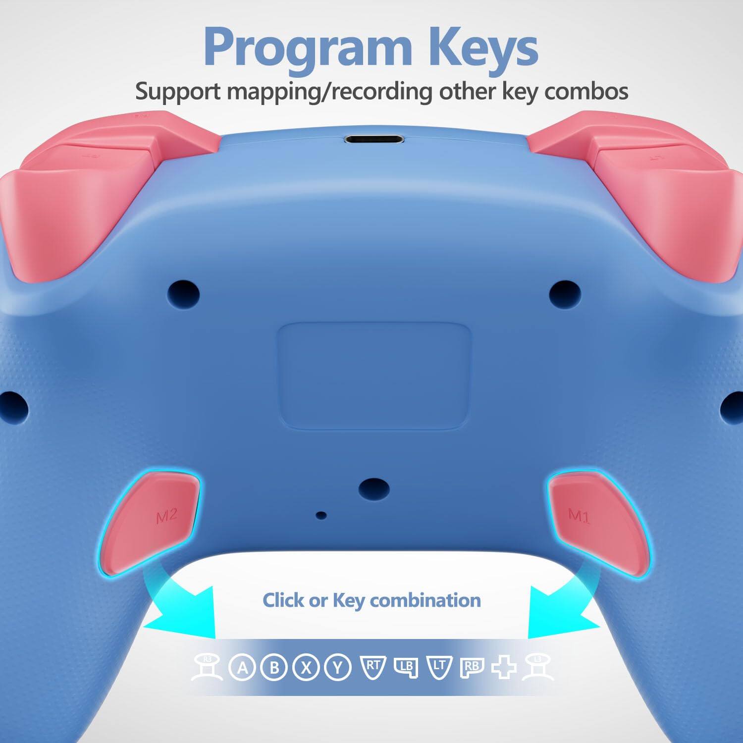 Program Keys  
Support mapping/recording other key combos  

M2  
M1  

Click or Key combination  
A B X Y RT LB LT RB + E