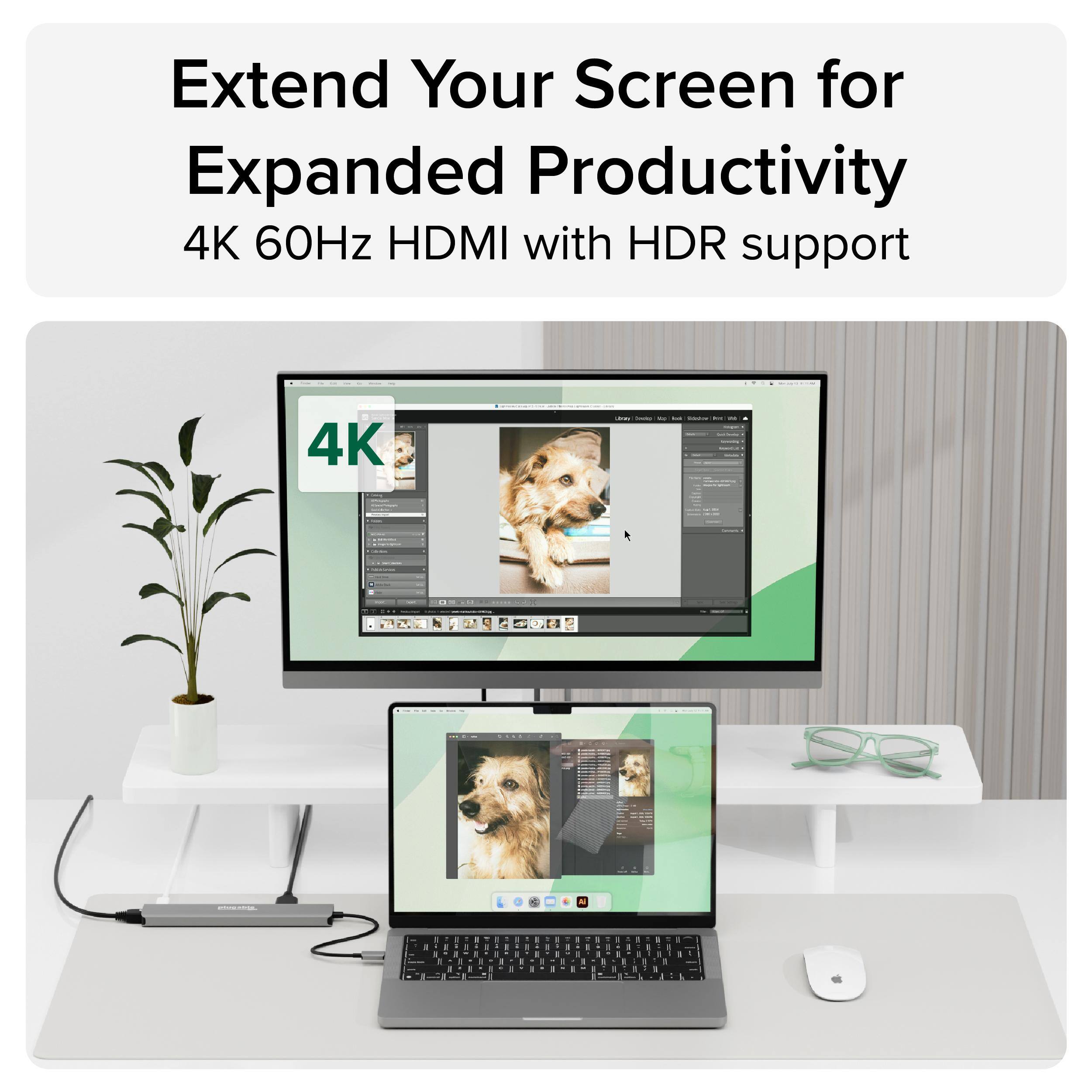 Extend Your Screen for Expanded Productivity  
4K 60Hz HDMI with HDR support