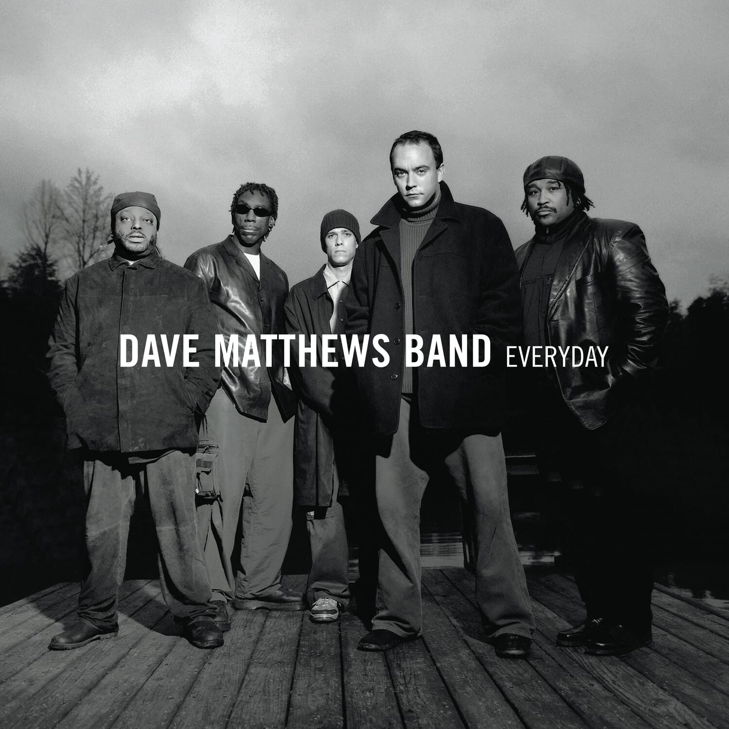 Dave Matthews Band - Everyday   - VINYL LP price history on PriceWatchPro