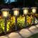 Front. MOSZAR LLC - Solar Pathway Lights Outdoor, 12 Pack Upgraded LED Waterproof - Brown.