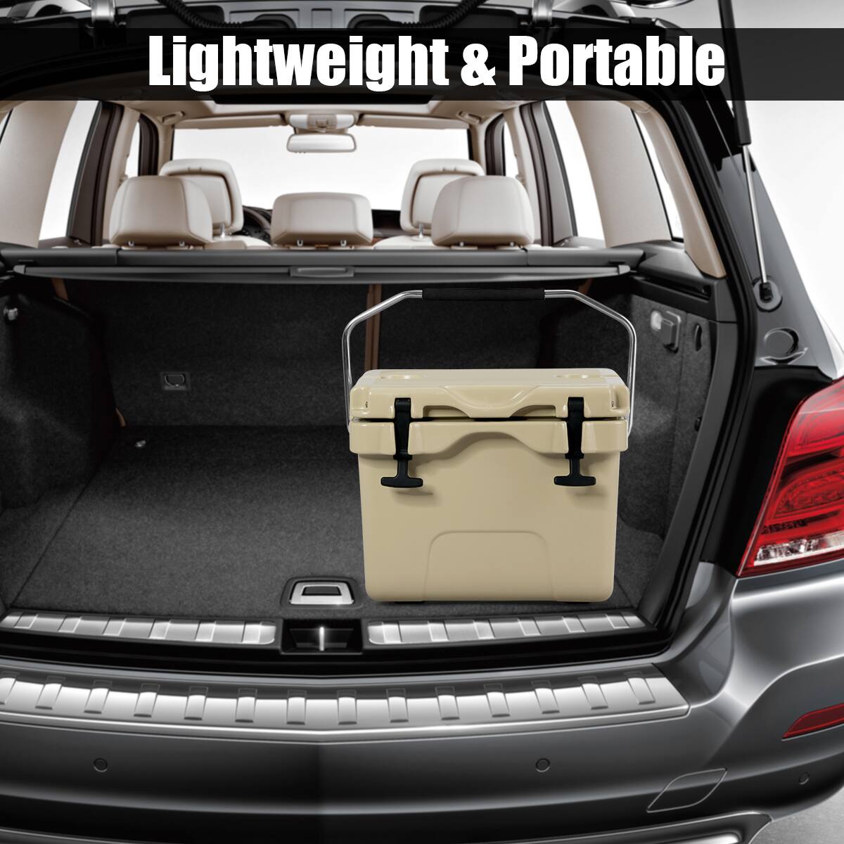 Lightweight & Portable