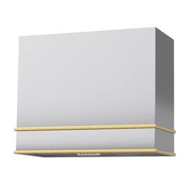 Akicon - 36 inches - Externally Vented - Wall Range Hood - Stainless steel with Gold