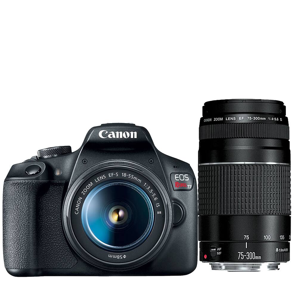 Canon EF-S 18-55mm Zoom Lens 1:3.5-5.6 IS II  
Canon EF 75-300mm Zoom Lens 1:4-5.6  
Canon EOS Rebel T7