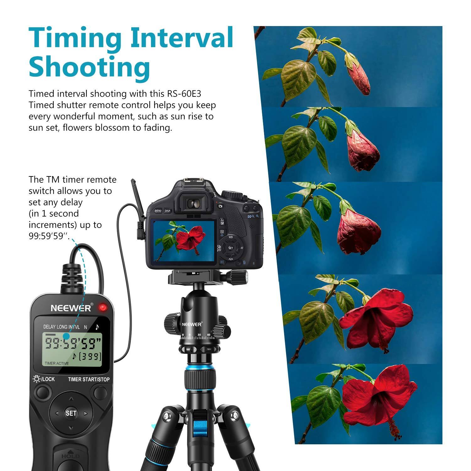 Timing Interval Shooting

Timed interval shooting with this RS-60E3 Timed shutter remote control helps you keep every wonderful moment, such as sun rise to sun set, flowers blossom to fading.

The TM timer remote switch allows you to set any delay (in 1 second increments) up to 99:59'59".

NEEWER DELAY LONG ITVL N NEEWER 99:59'59" (399) TMER ACTIVE - LOCK TIMER START/STOP SET HOLD