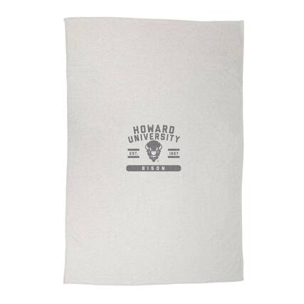 HOWARD UNIVERSITY
EST. 1867
BISON