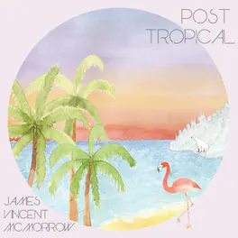 James Vincent McMorrow - Post Tropical - VINYL LP
