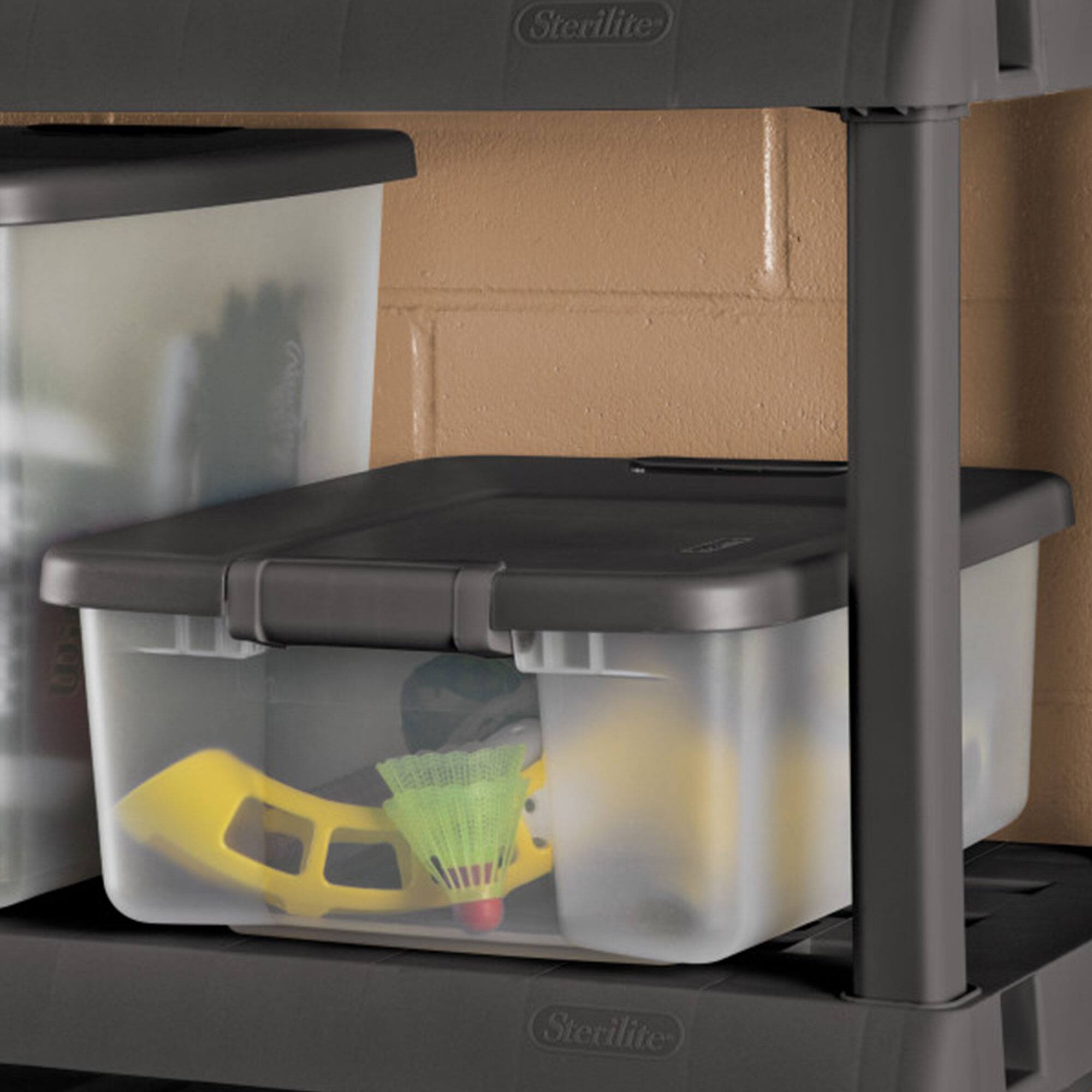 Sterilite  
Sterilite