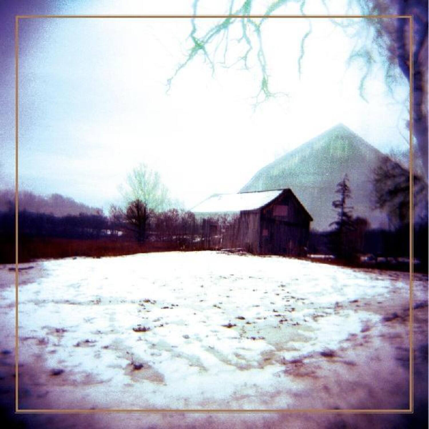 Horse Feathers - House With No Home   - VINYL LP price history on PriceWatchPro