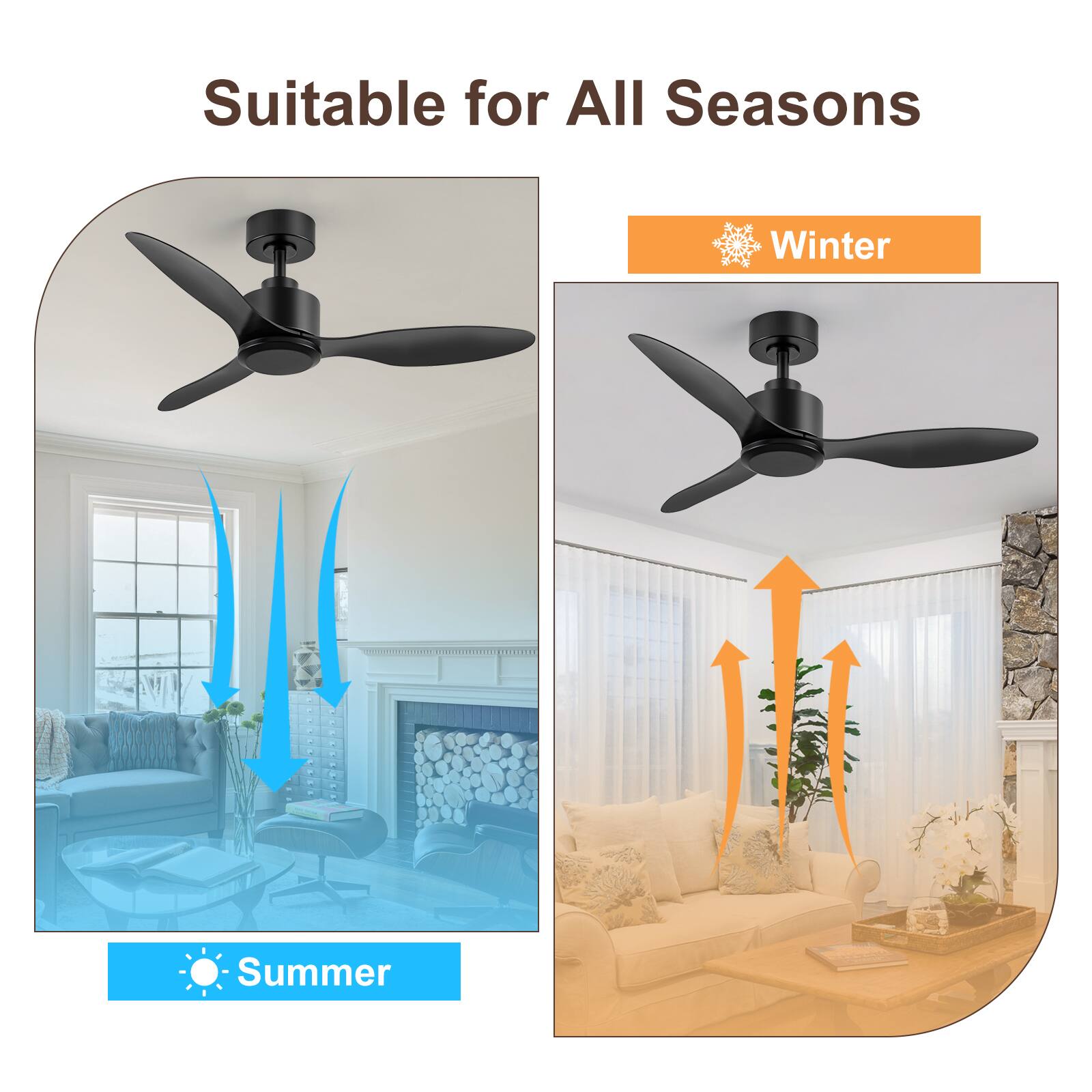 Suitable for All Seasons

Winter

Summer