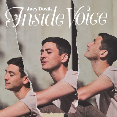 Joey Dosik - Inside Voice (stone White Vinyl)  - VINYL LP