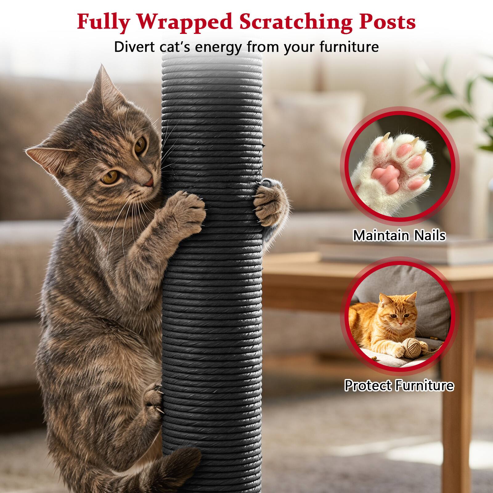 Fully Wrapped Scratching Posts  
Divert cat's energy from your furniture  
Maintain Nails  
Protect Furniture