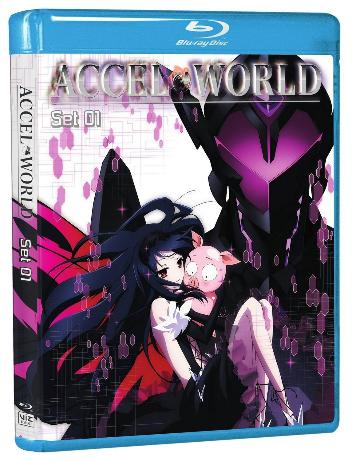 Angle. Accel World: Part 1 [Blu-ray].
