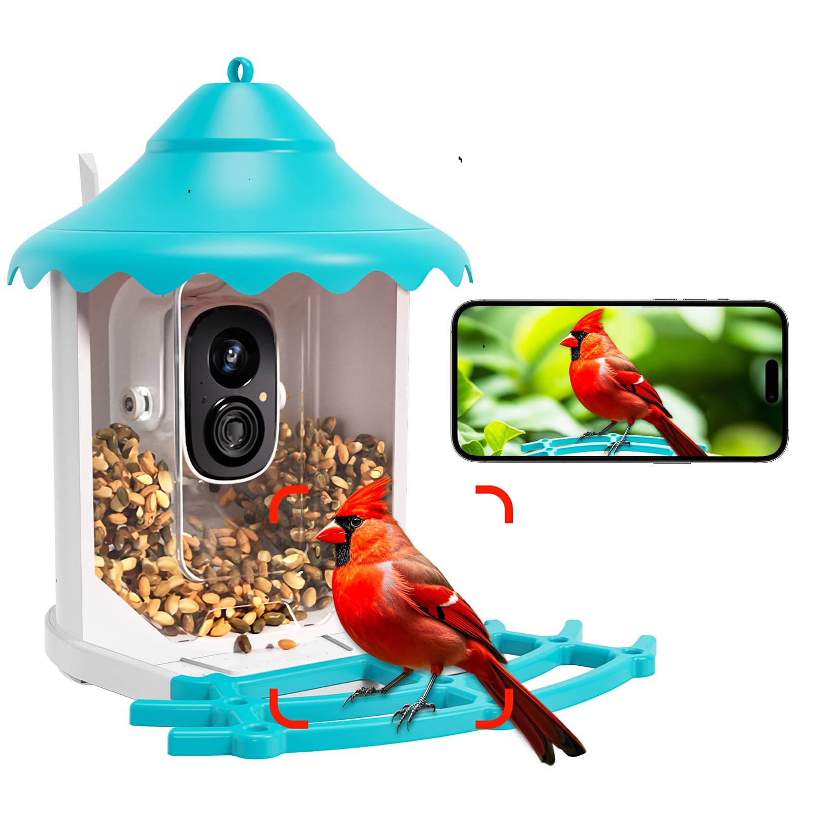 CiNMOORE - The P2U is a WiFi bird feeder with auto-generated bird encyclopedia content.