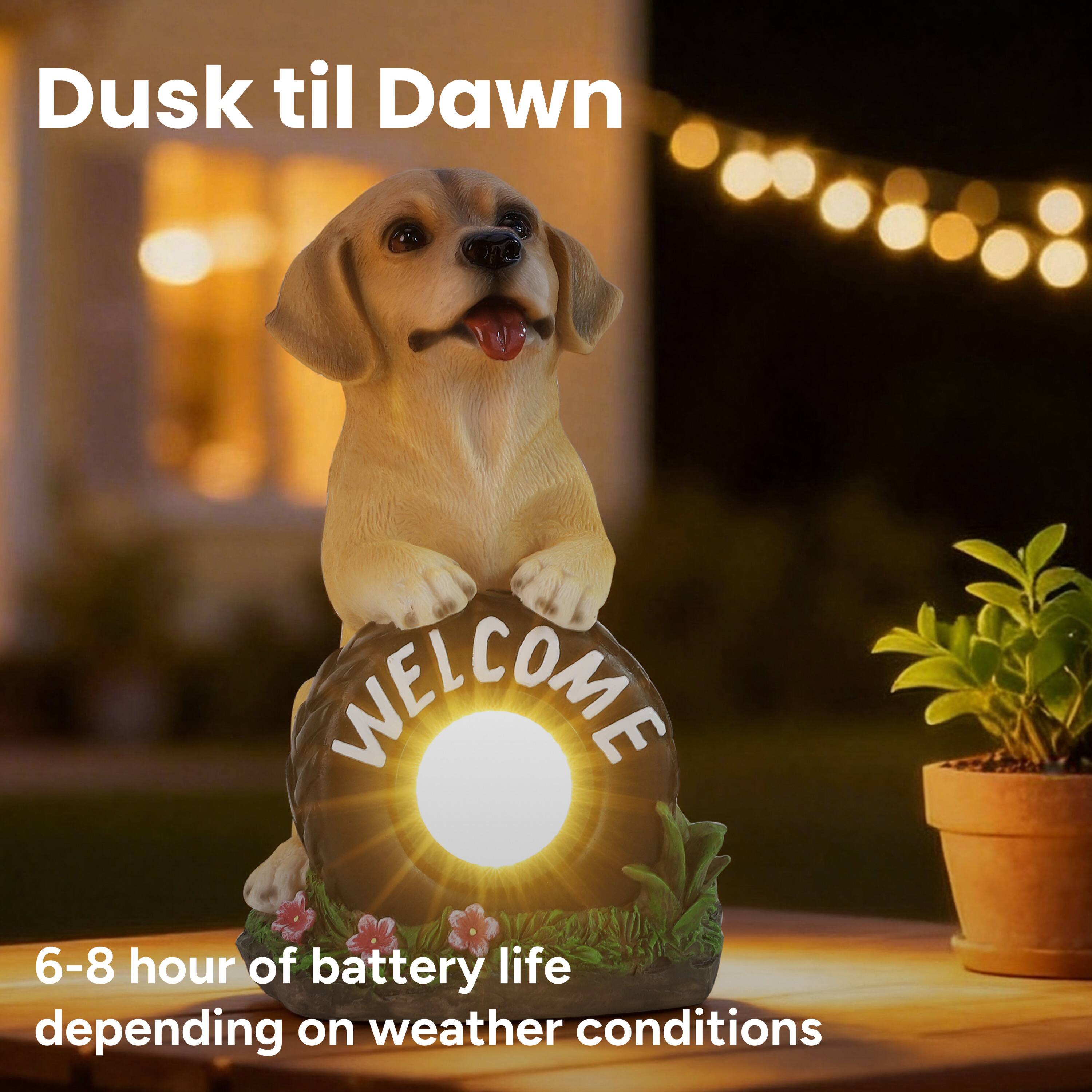 Dusk til Dawn

WELCOME

6-8 hour of battery life depending on weather conditions