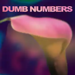 Dumb Numbers - Dumb Numbers - VINYL LP