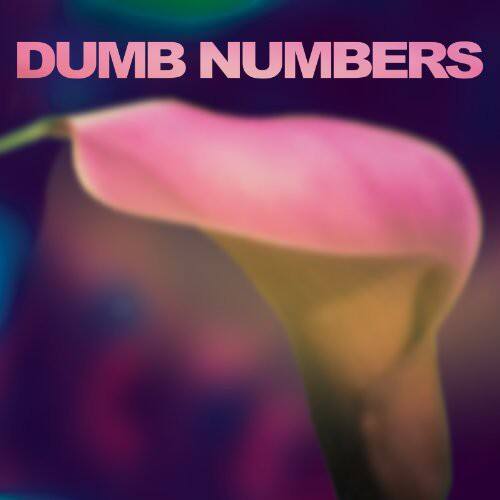 DUMB NUMBERS