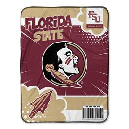 Chad & Jake - Florida State Seminoles 30" x 40" Comic Theme Baby Blanket - Multicolor