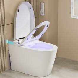 Dyonery - toilet with manual flip cover, children's mode, women's cleaning, detachable spray rod, and adjustable flushing - White