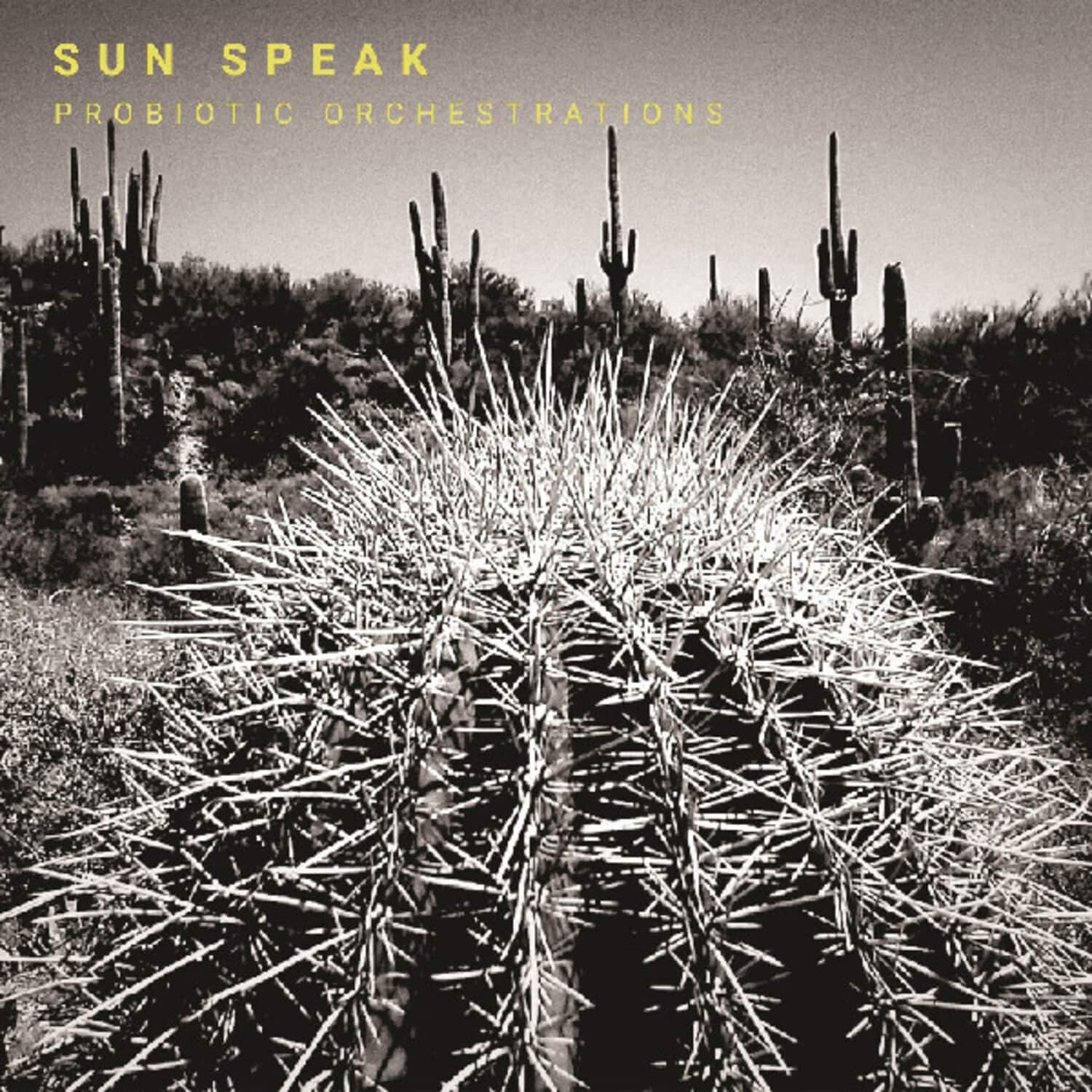Sun Speak - Probiotic Orchestrations   - VINYL LP