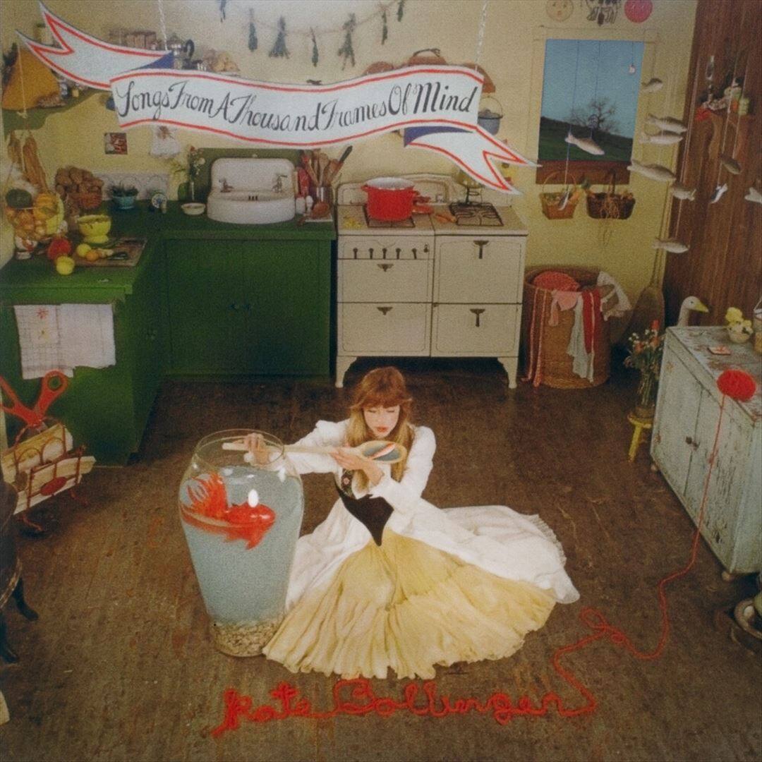 Songs From a Thousand Frames of Mind [LP] [VINYL] price history on PriceWatchPro