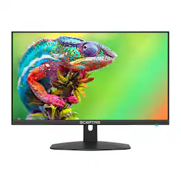 SCEPTRE - E248W FW100T 24 Inch Full HD 100Hz LED Gaming Monitor - Black