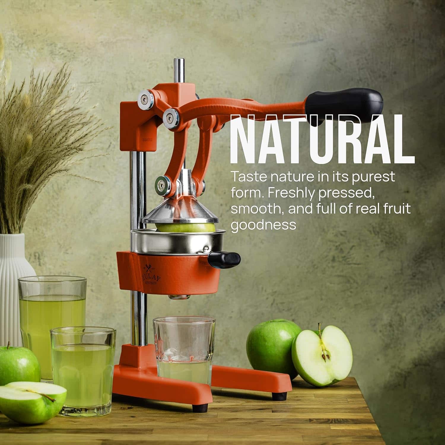 Zulay Kitchen Cast Iron Manual Citrus Press & Squeezer Juicer