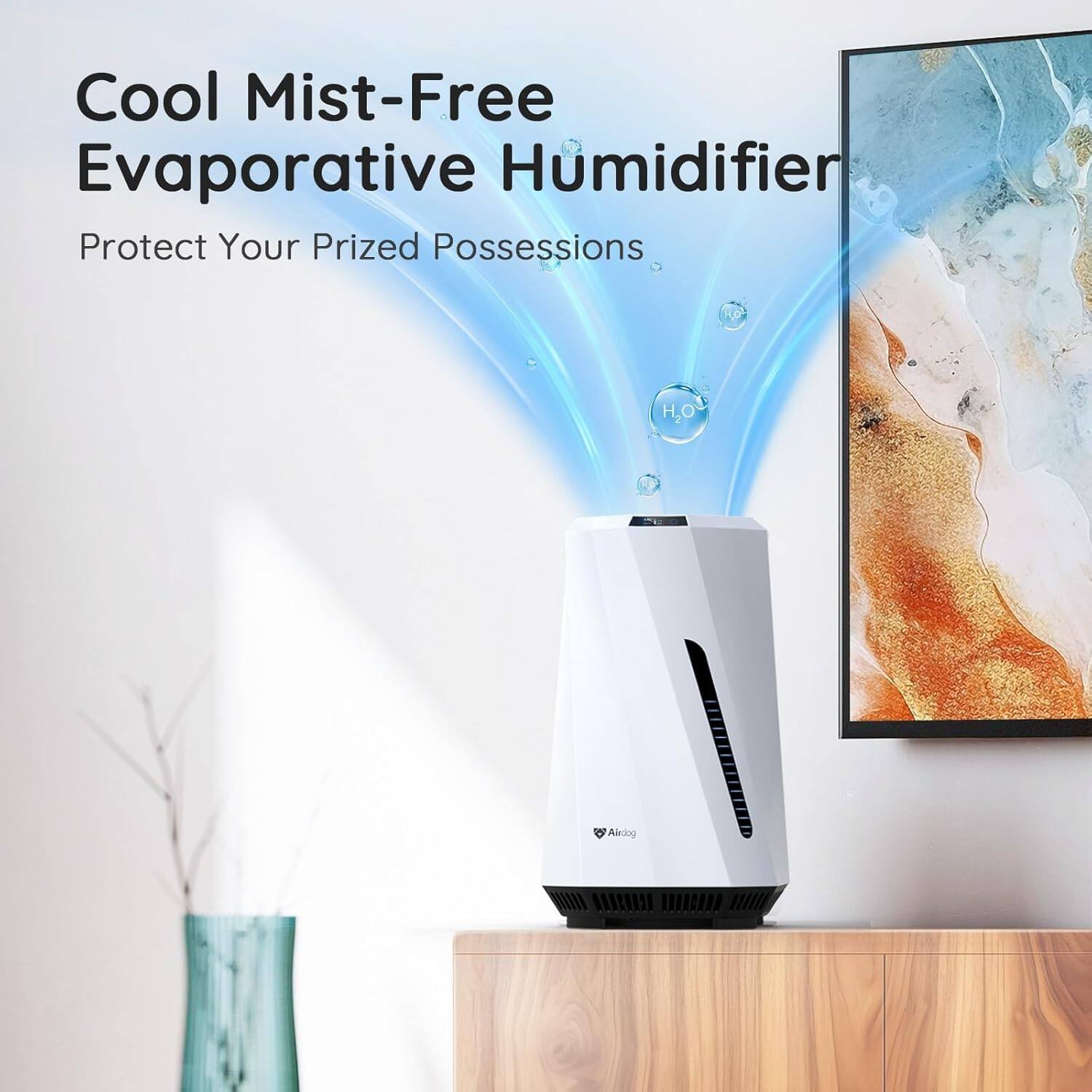 Cool Mist-Free Evaporative Humidifier  
Protect Your Prized Possessions