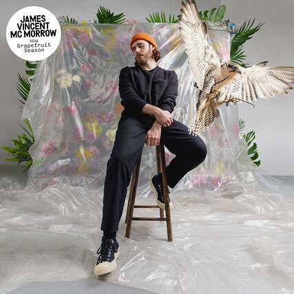JAMES VINCENT MC MORROW
TITLE
Grapefruit Season