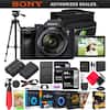 SONY AUTHORIZED DEALER.
SONY α7
SONY FE 3.5-5.6/28-70 OSS
SONY DC DET Screen GUARD
SONY Ashampoo Photo Commander 16
Lexar 64GB 160 V30 XC I
Lexar 64GB 160 V30 XC I
Lexar 1066x PROFESSIONAL
Ashampoo Photo Optimizer 7
piZap
GRFX STUDIO PRO
PixTeller MOVIE STUDIO 6
decocour Screen GUARD
decocour
decocour
decocour