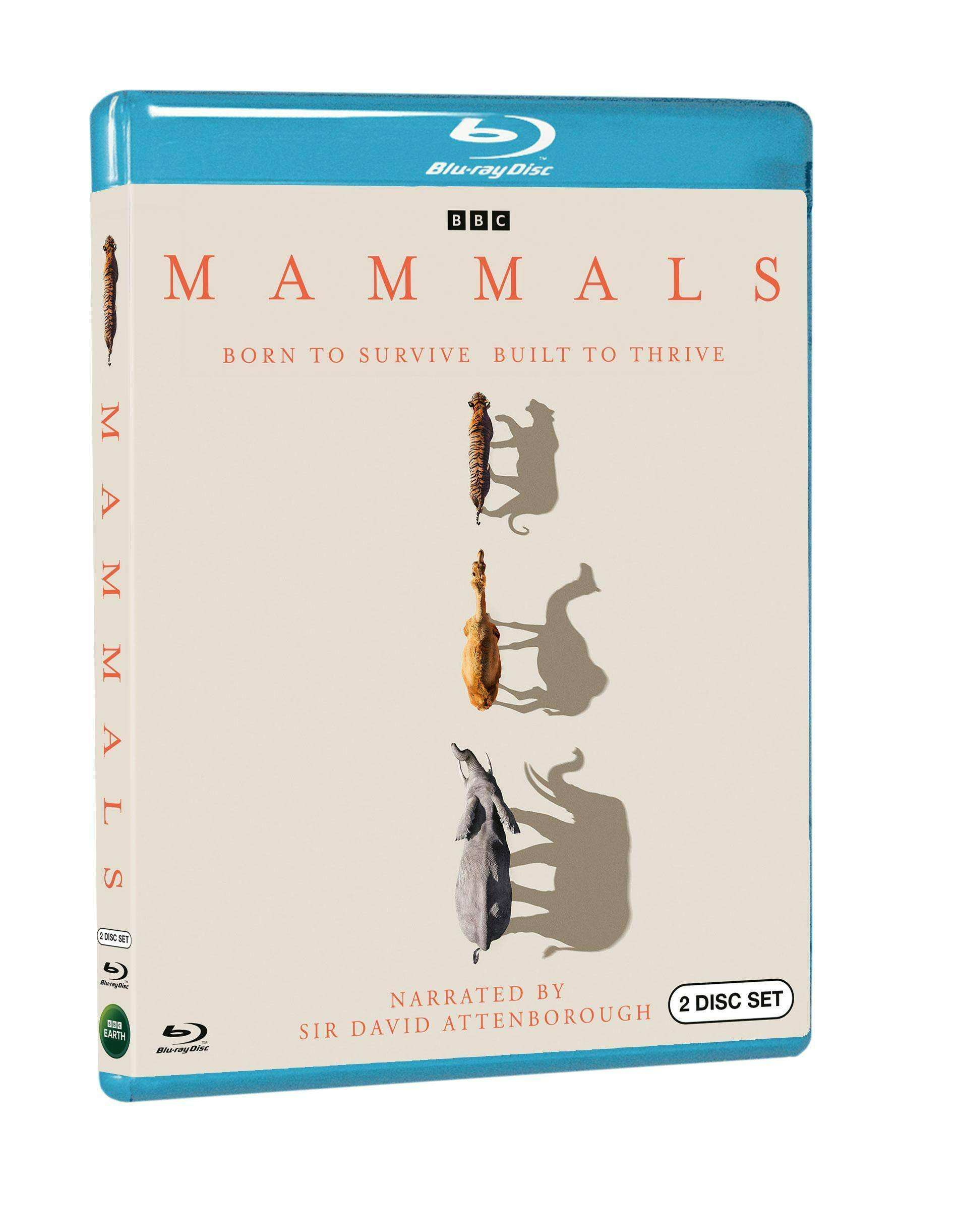 Angle. Mammals [Blu-ray].
