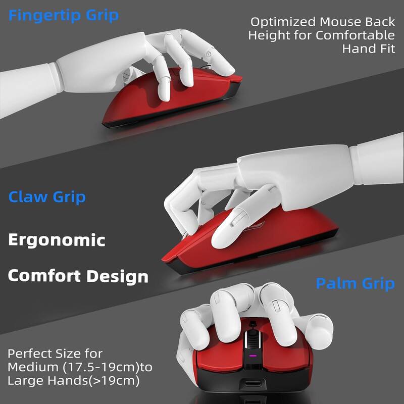 Fingertip Grip  
Optimized Mouse Back Height for Comfortable Hand Fit  

Claw Grip  
Ergonomic Comfort Design  

Palm Grip  
Perfect Size for Medium (17.5-19cm) to Large Hands (>19cm)