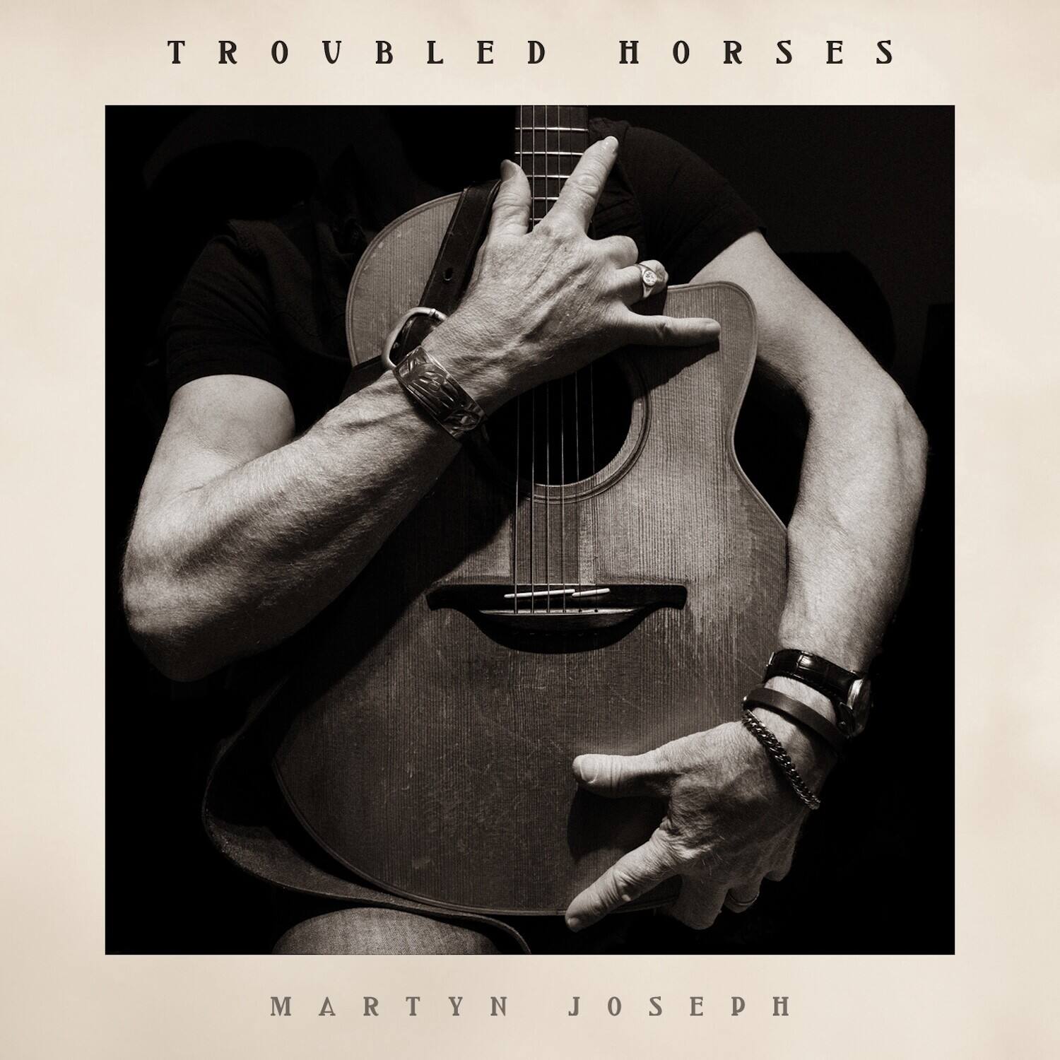 Martyn Joseph - Troubled Horses   - VINYL LP price history on PriceWatchPro