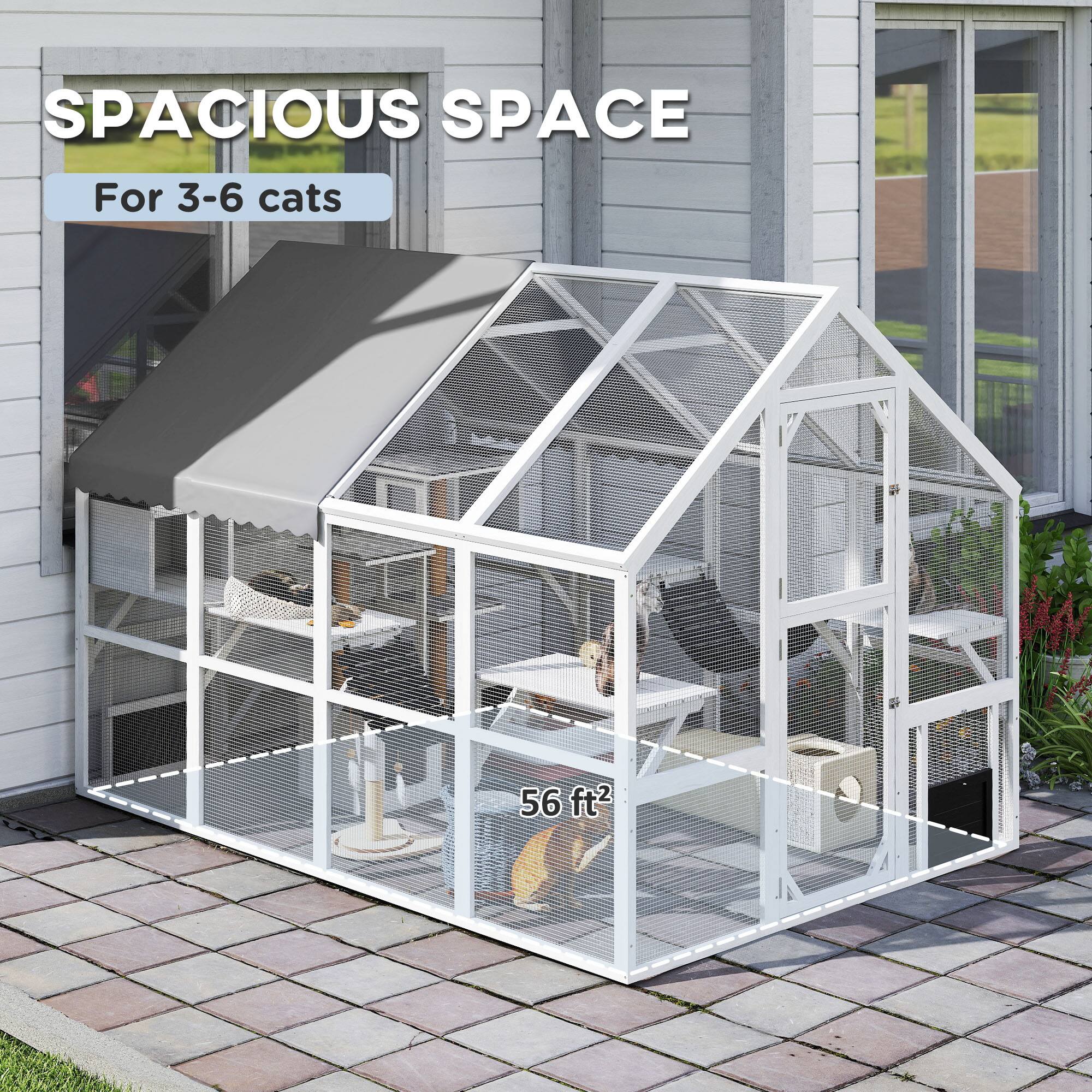 SPACIOUS SPACE  
For 3-6 cats  
56 ft²