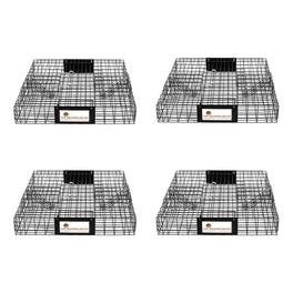 Rugged Ranch Products - Rugged Ranch Squirrelinator Squirrel Chipmunk Metal 2 Door Trap Cage (4 Pack) - Black