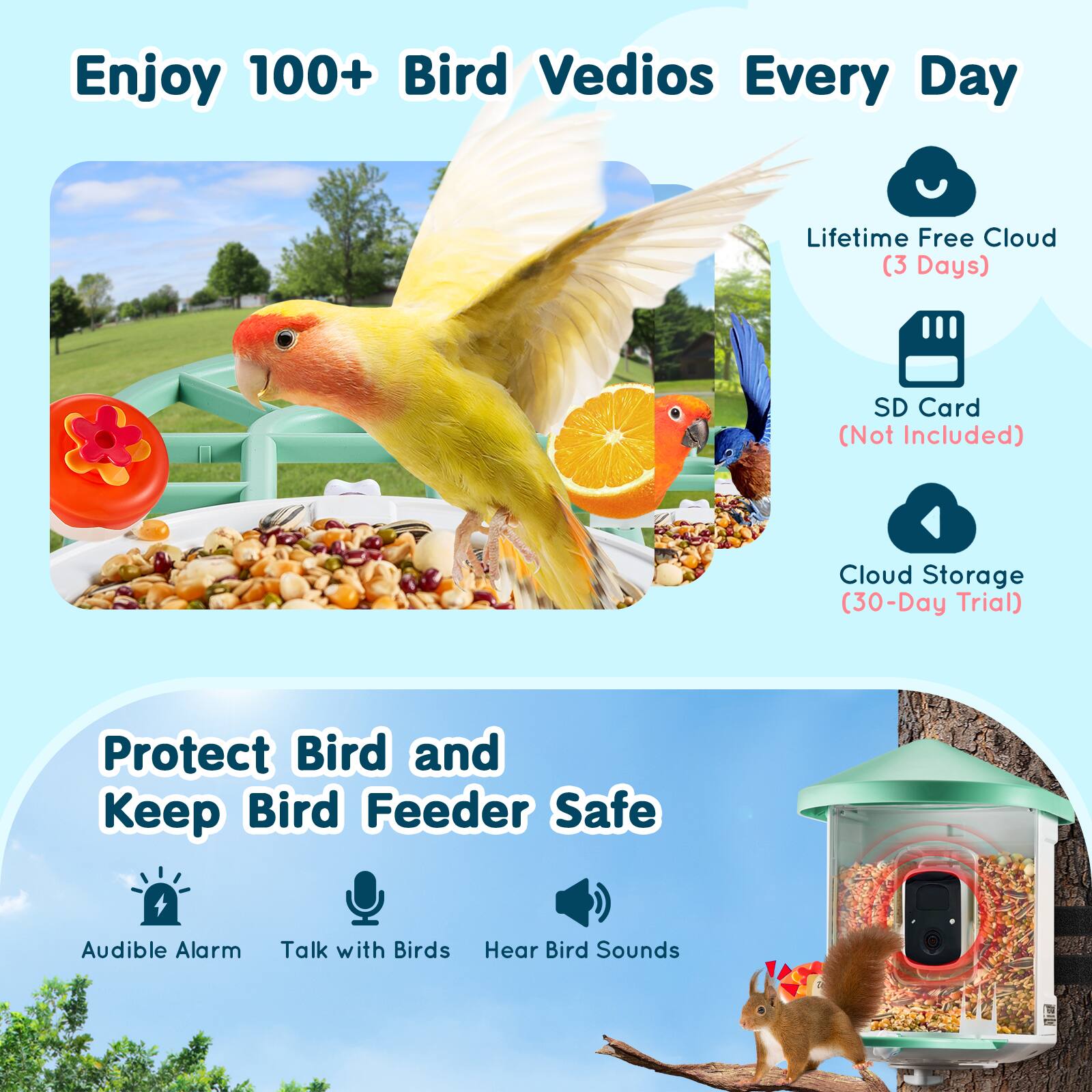 Enjoy 100+ Bird Videos Every Day

- Lifetime Free Cloud (3 Days)
- SD Card (Not Included)
- Cloud Storage (30-Day Trial)

Protect Bird and Keep Bird Feeder Safe

- Audible Alarm
- Talk with Birds
- Hear Bird Sounds