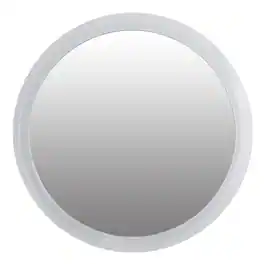 Zadro - Traveling Wall Mounted Shower Mirror with 5X Magnification & Suction Cups - Clear