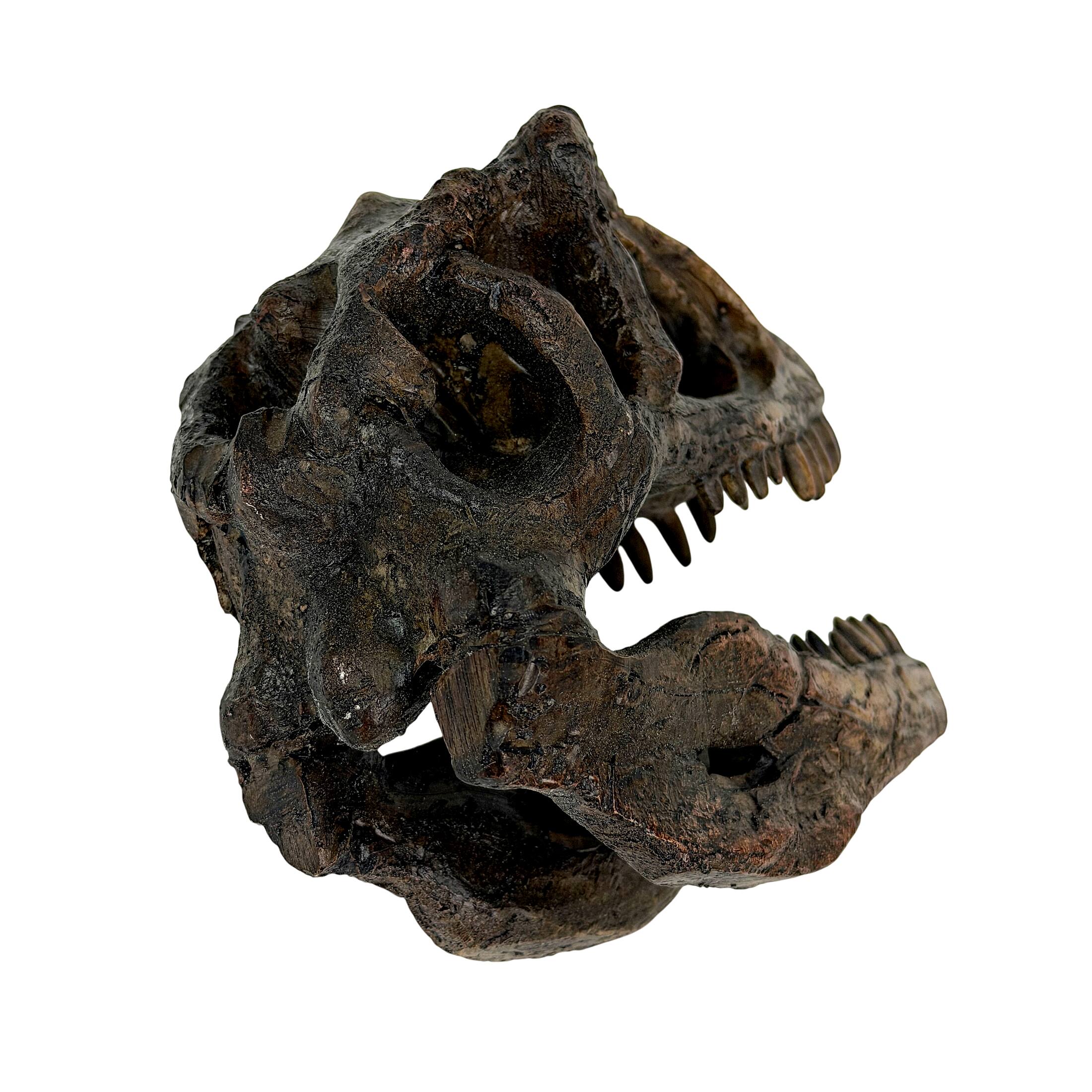 Alt View 1. Things2Die4 - Giganotosaurus Dinosaur Statue Weathered Brown Resin 6.5 Inch Tabletop Decor - Brown.