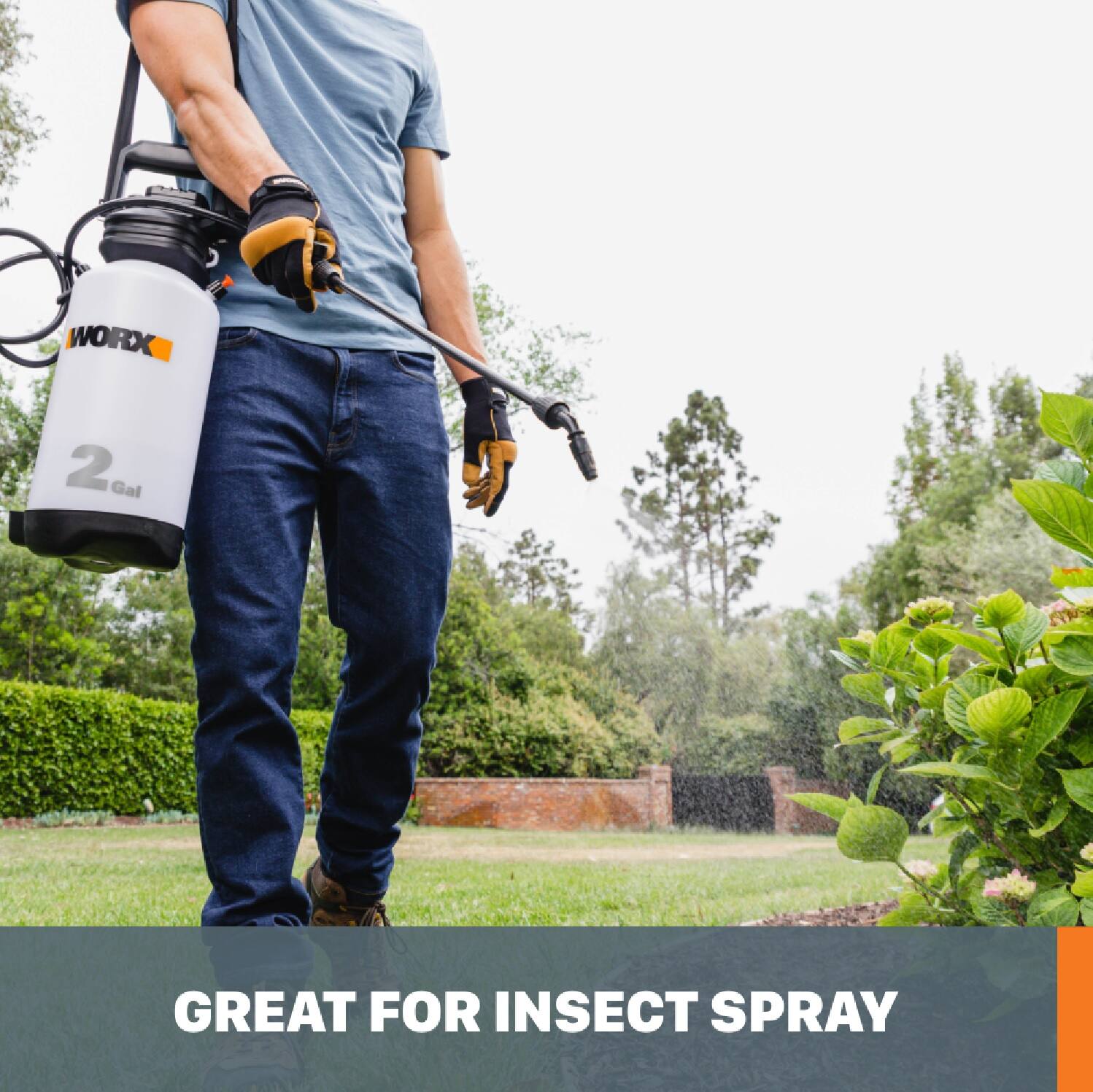 Great for Insect Spray