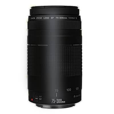 EF 75 300mm Autofocus Lens Bundle Canon EOS Rebel T6 T6i 70D 80D EF 75 300mm Autofocus Lens Bundle Canon EOS Rebel T6 T6i 70D 80D